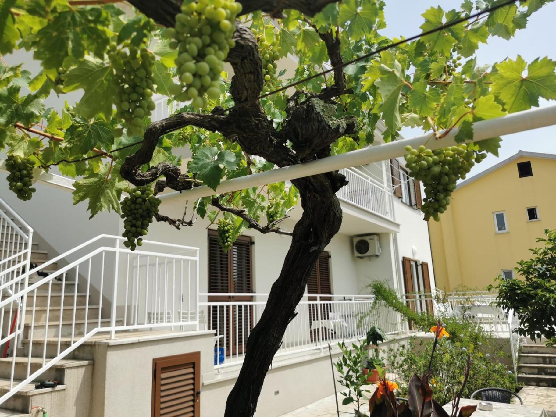 Residence Pical Porec Ngoại thất bức ảnh